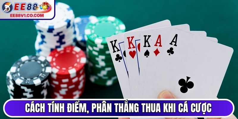 Cách tính điểm, phân thắng thua khi cá cược