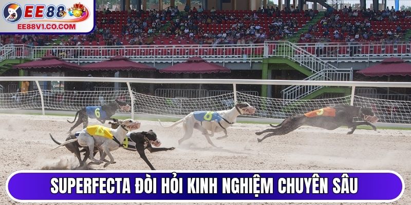 Superfecta đòi hỏi kinh nghiệm chuyên sâu