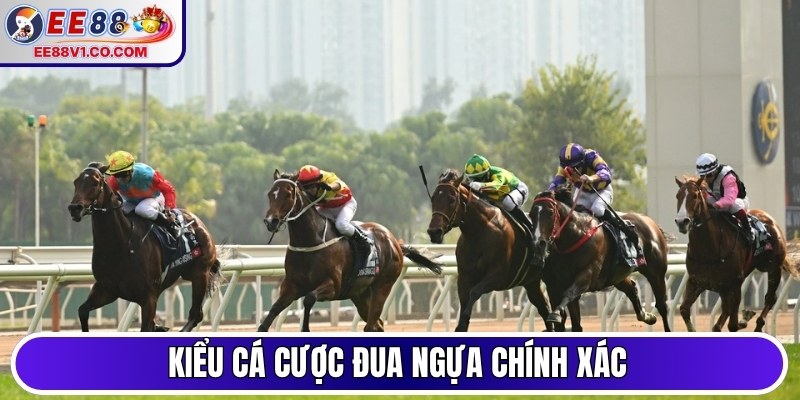 Kiểu cá cược đua ngựa chính xác