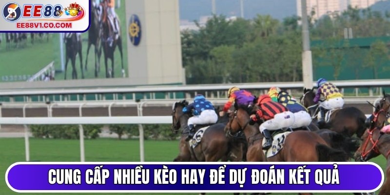 Cung cấp nhiều kèo hay để dự đoán kết quả