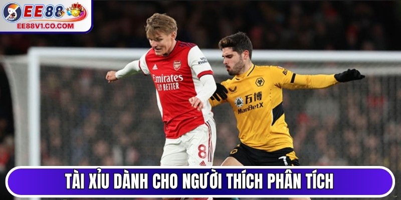 Tài xỉu dành cho người thích phân tích