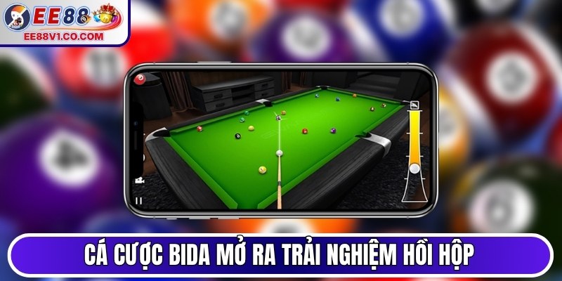 Cá cược bida mở ra trải nghiệm hồi hộp