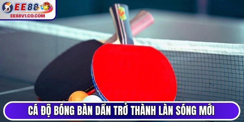 Cá độ bóng bàn dần trở thành làn sóng mới