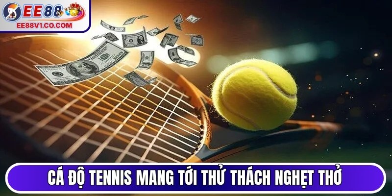 Cá độ tennis mang tới thử thách nghẹt thở