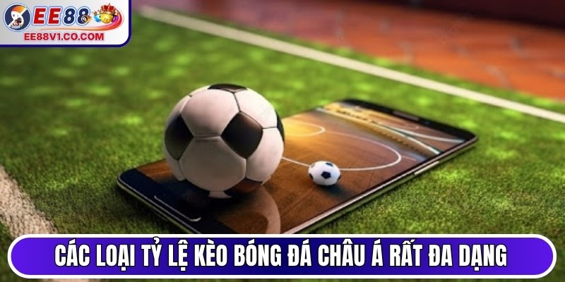 Các loại tỷ lệ kèo bóng đá châu Á rất đa dạng