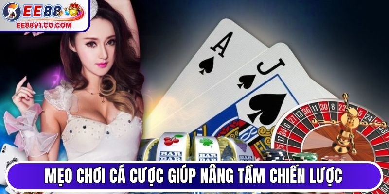 Mẹo chơi cá cược giúp nâng tầm chiến lược